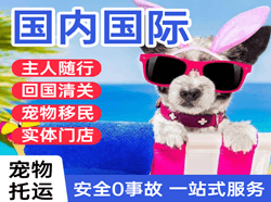 凤凰航空托运国际宠物托运 【国